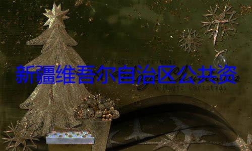 新疆维吾尔心副主任薛自治区公共资源交易中查调查建强接受审